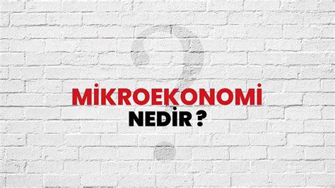 Mikroekonomi nedir